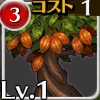 世界樹のカカオ苗