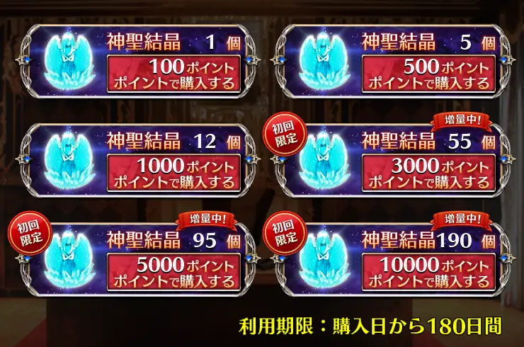購入画面