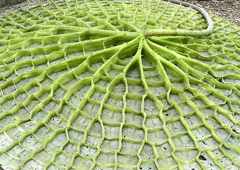 D1D-Qr1U8AAAlTf.jpg D1D-Qr1U8AAAlTf.jpg