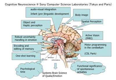 systemsbrain.jpg