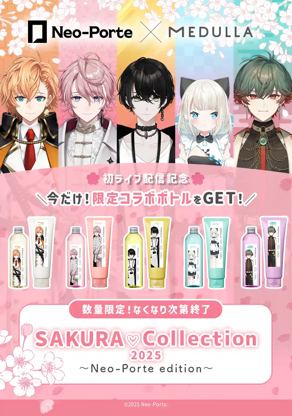 Neo-Porte × MEDULLA Neo-Porte × MEDULLA