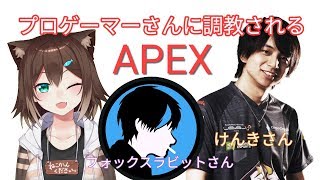 プロに教えるAPEX教室 #2【にじさんじ】【文野環】[2020/08/15]