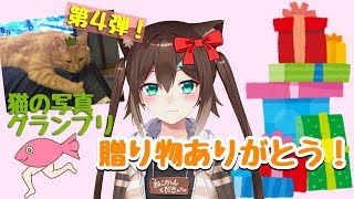 みんなからのプレゼント開封！！猫の写真グランプリ第４段[2019/06/19 ]
