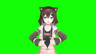 野良猫GB[2022/02/13]