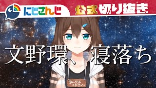 君は文野環を知っているか ～ナンにポテチを添えて～【文野環まとめ】にじさんじ / VTuber / 切り抜き[2020/08/17](にじさんじ公式切り抜きチャンネル)
