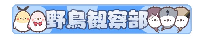 バードウォッチング部優勝称号