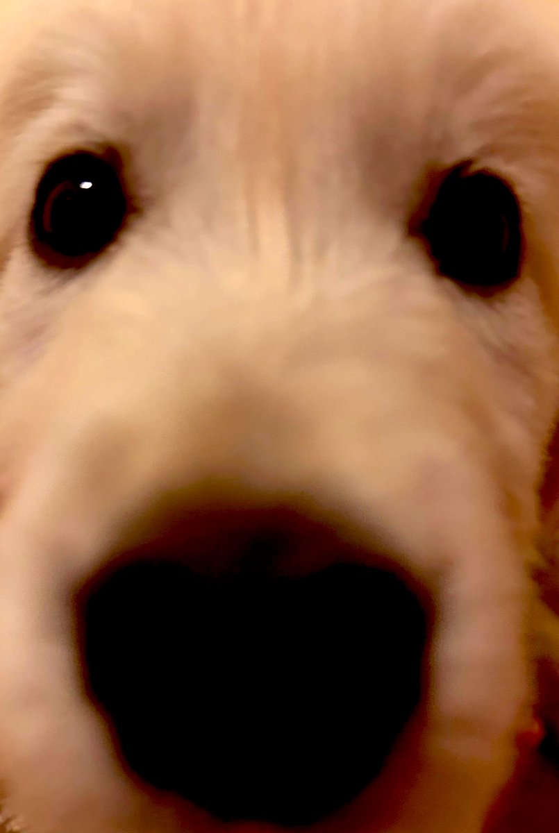 F3LoOBkbkAA-zk1.jpg F3LoOBkbkAA-zk1.jpg