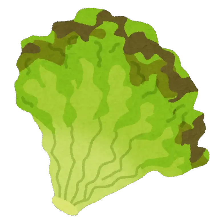 vegetable_sunny_lettuce.png