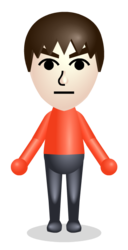 Mii 膨大なページ数 Wiki