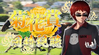 【競馬/菊花賞同時視聴】本命なんかねえよ【Vtuber/天開司】