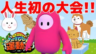 人生初のフォールガイズ大会「VFG運動会」に出る【優勝しよっと】