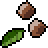 tea_plant_seed.png