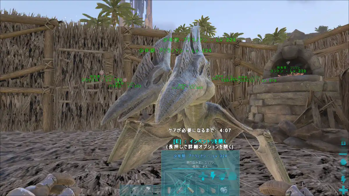 シェリン バーガンディ 詳しく知りたい にじさんじ Wiki