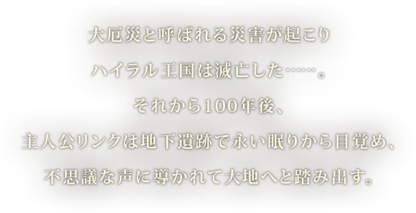 ゼルダの伝説 ブレス オブ ザ ワイルド 膨大なページ数 Wiki