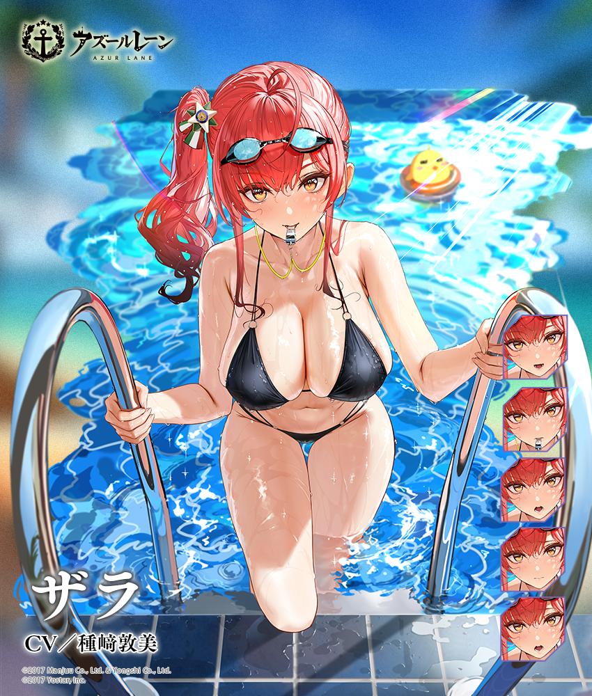 ザラ シコらないwiki Wiki ザラ シコらないwiki Wiki