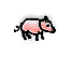 満腹の家畜の子ブタ/Fed Domestic Piglet