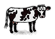 満腹の家畜の牛/Fed Domestic Cow