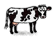 乳牛/Milk Cow