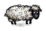 家畜のヒツジ/Domestic Sheep