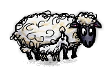 家畜のヒツジと子ヒツジ/Domestic Sheep with Lamb