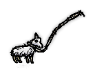 家畜の子ヒツジ(ロープ給餌)/Domestic Lamb - rope fed