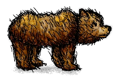 ハイイログマ/Grizzly Bear