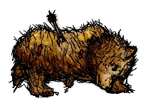 死んだハイイログマ(1)/Dead Grizzly Bear - 1