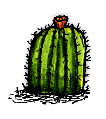 花の咲いたエキノカクタス/Flowering Barrel Cactus