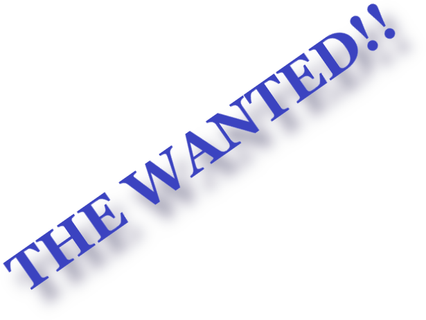 logo_wanted.png