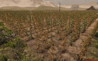 cornfield_lg_outer.png