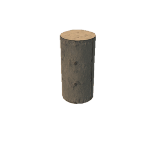 Pillar 50.png