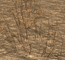 250px-BrownGrass (1).png