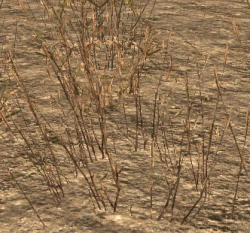 250px-BrownGrass.png