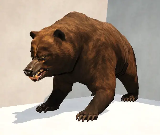 A19AnimalBear.jpg