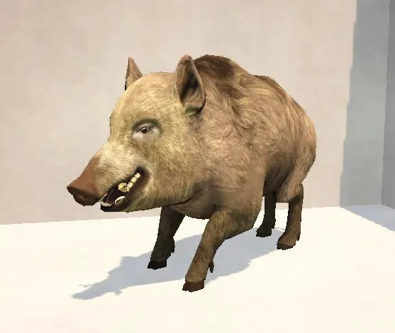 A19AnimalBoar.jpg