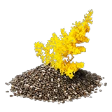 A18plantedGoldenrod1.png
