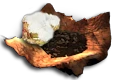 cottonSeed.png