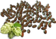 hopSeed.png