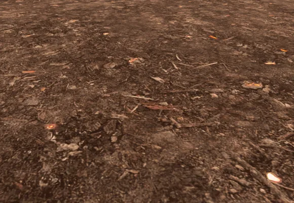 Looks_Burnt Forest Ground.png
