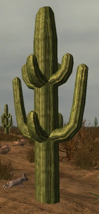 200px-Saguaro.png