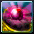 xt016.png xt016.png