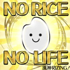 NO RICE NO LIFE.JPG