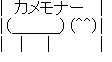 カメ2.png