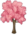 濃桜