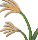 すすき すすき