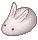 月のうさぎ 月のうさぎ