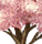 舞い散る桜の木 舞い散る桜の木