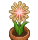 花火華(黄) 花火華(黄)