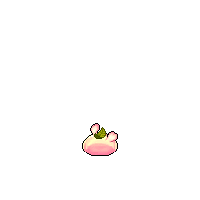 桜ゼリー 桜ゼリー