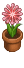 花火華(赤) 花火華(赤)
